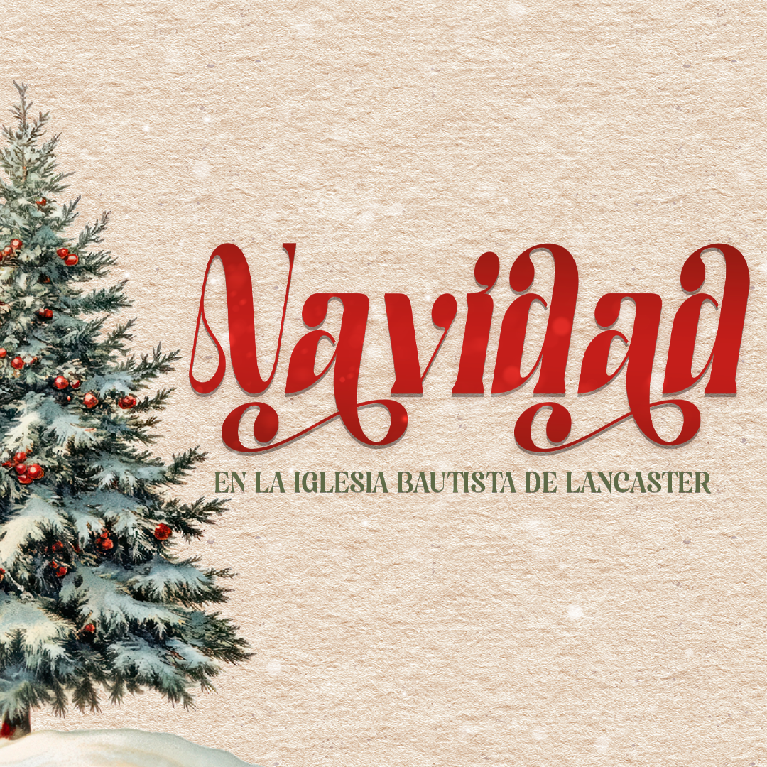 Navidad WEB.png