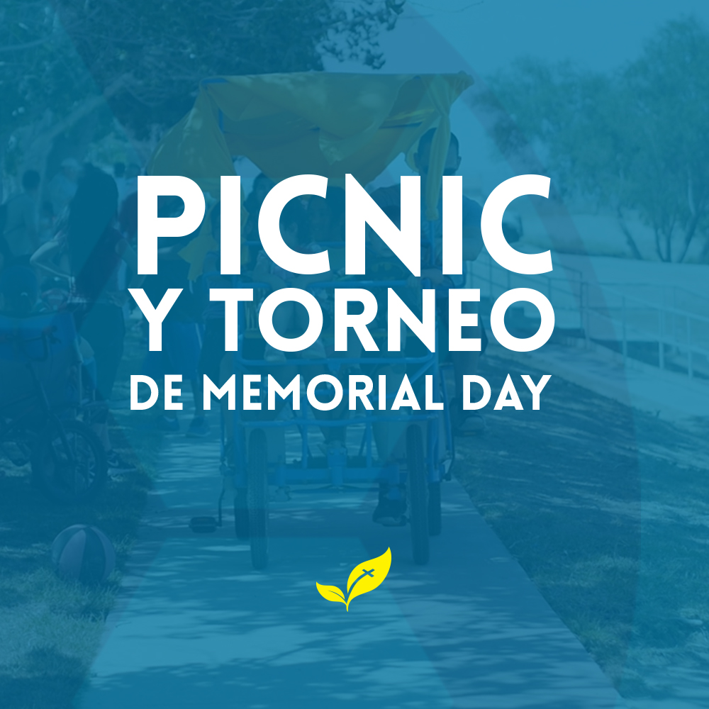 Picnic website.jpg Picnic website.jpg