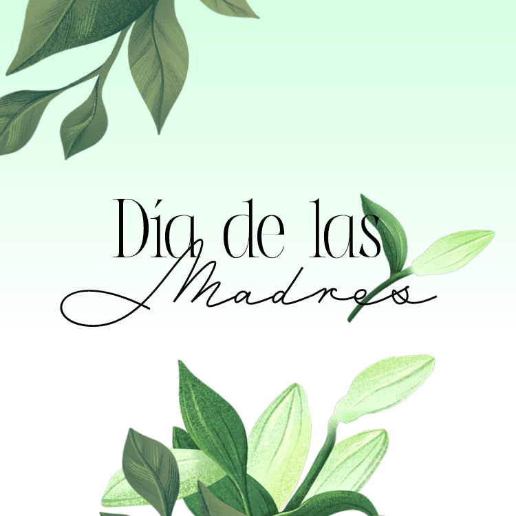 WEB Dia de las Madres.png