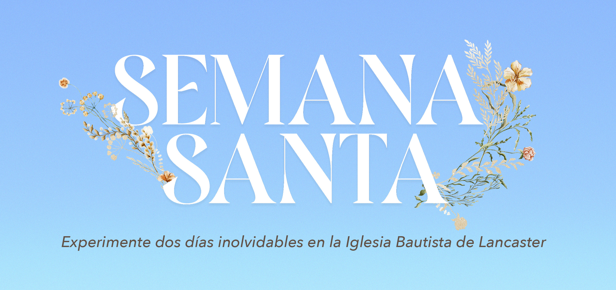 landing page WEB.jpg